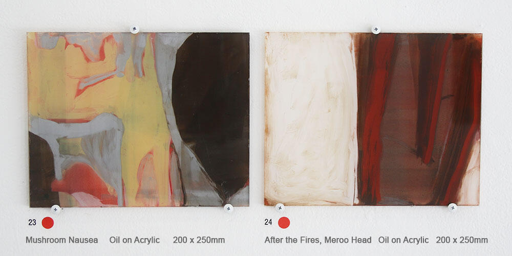 Mushroom Nausea & After the Fires, Meroo Head